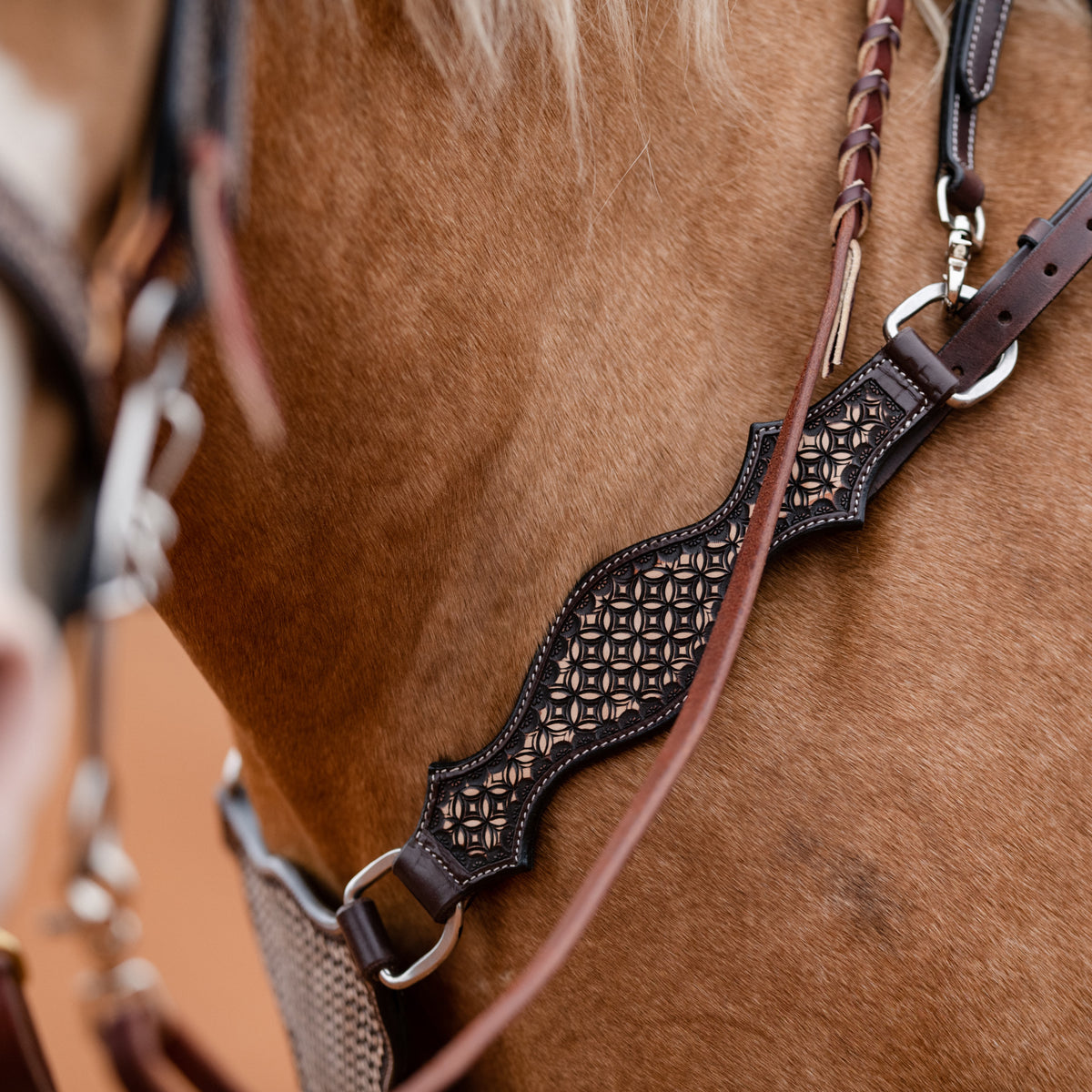 New! Cashel 1.75″ Antiqued Dots Breastcollar Chocolate