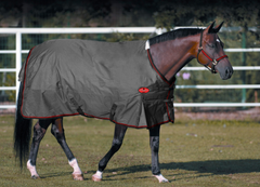 Couverture Hiver Sussex Lite Grise 100g