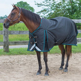 Calypso 300g Winter Blanket with Neck - Black