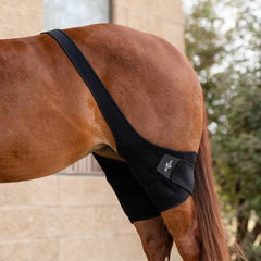 Bandage de Glace pour Grasset