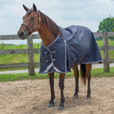 Symphony 160g Winter Blanket with Neck - Navy