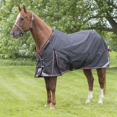 Winter Blanket EZ Neck 300g - Black