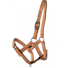 Load image into Gallery viewer, Adjustable Cushion Web Foal Halter

