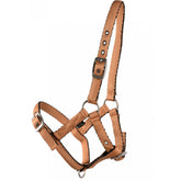 Adjustable Cushion Web Foal Halter