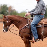 Oiled Harness Round Leather Draw Rein