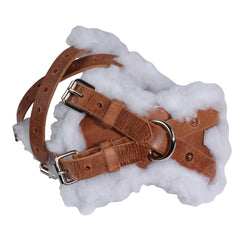 Entraves pour Jarrêts de Schutz Brothers