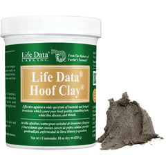 Argile pour Pied Life Data 10oz