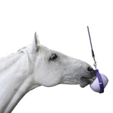 Likit Boredom Buster