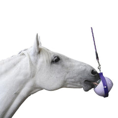 Likit Boredom Buster