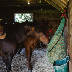 Knotless Hay Net - 6-8 Flakes