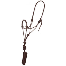 Load image into Gallery viewer, Economy Mountain Rope Halter and Lead
