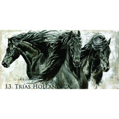 Carte de Voeux Elise Genest - Trias Hollandica