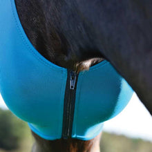 Load image into Gallery viewer, Lycra Fly Mask with Zipper by Equi-Sky - FG Pro Shop Inc.
