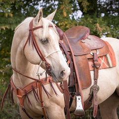 Roughout Breastcollar with Leather Fringe