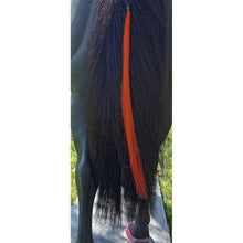 Load image into Gallery viewer, Gypsy Tail and Mane Extensions - FG Pro Shop Inc.
