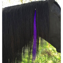 Charger l&#39;image dans la galerie, Gypsy Tail and Mane Extensions - FG Pro Shop Inc.
