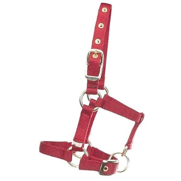 Miniature Horse Halter - FG Pro Shop Inc.