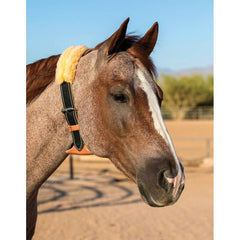 Dare Cribbing Collar by Schutz Brothers