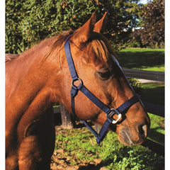 Signature Halter with Snap Solid Color - FG Pro Shop Inc.