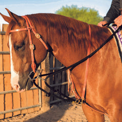 Martingale Reine Allemande Al Dunning de Schutz Brothers