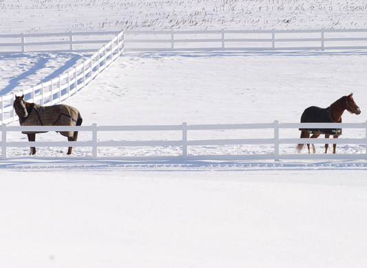Winter Blanket Guide