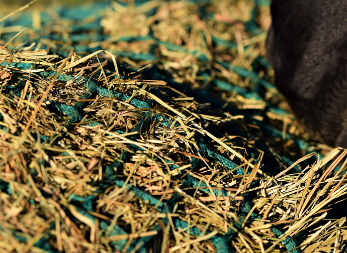 5 Benefits of using hay nets