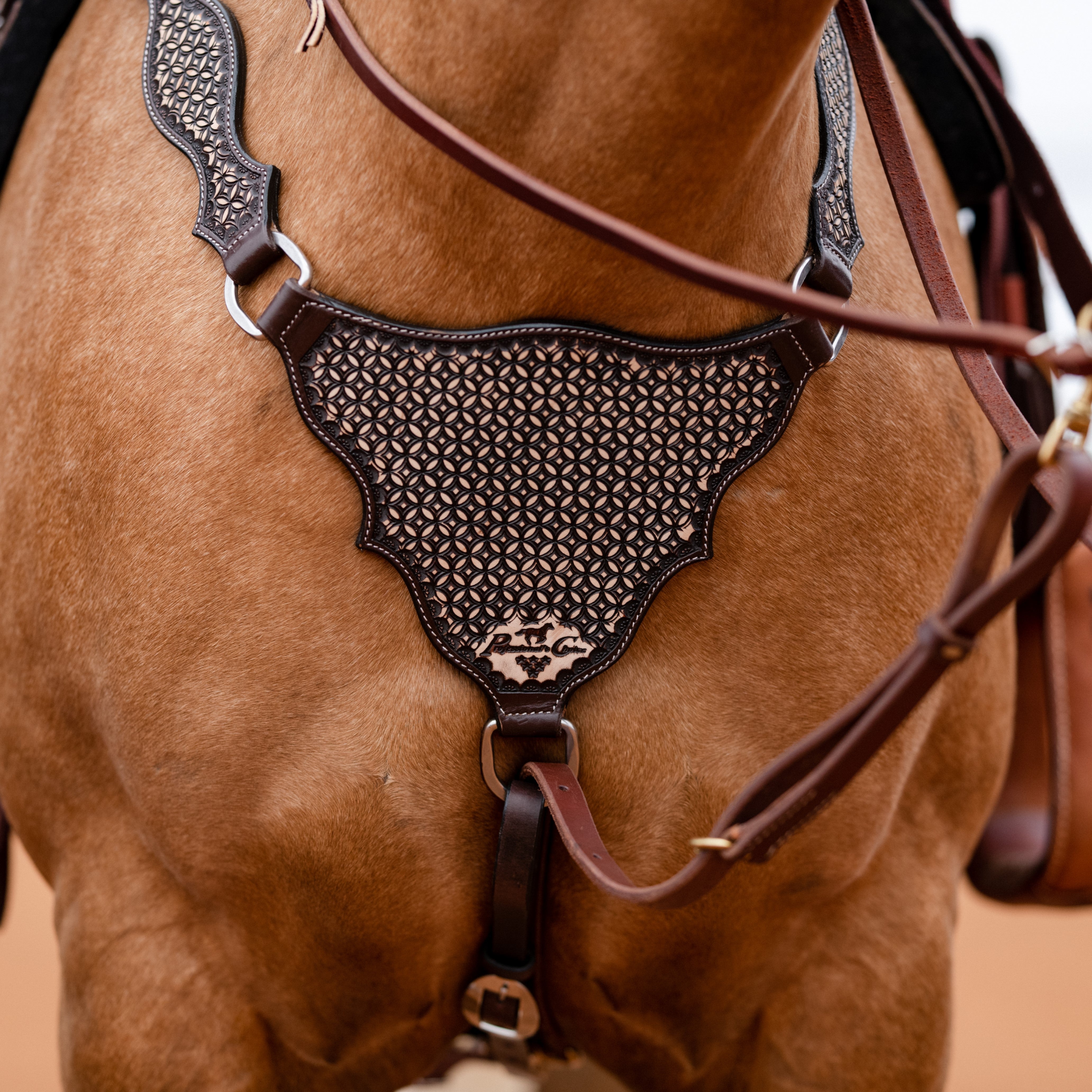 Breastcollar Chocolate Confection Collection