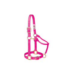 Licou Original Ajustable 3/4'' - Nouveau Née