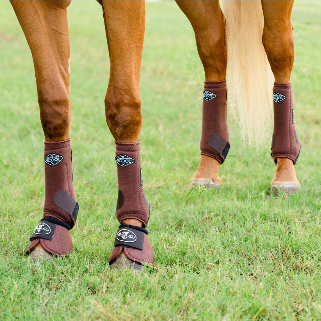 Guêtres 2XCool SMB - Chocolat