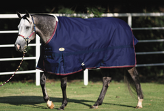 Navy Devlyn Winter Blanket - 300g