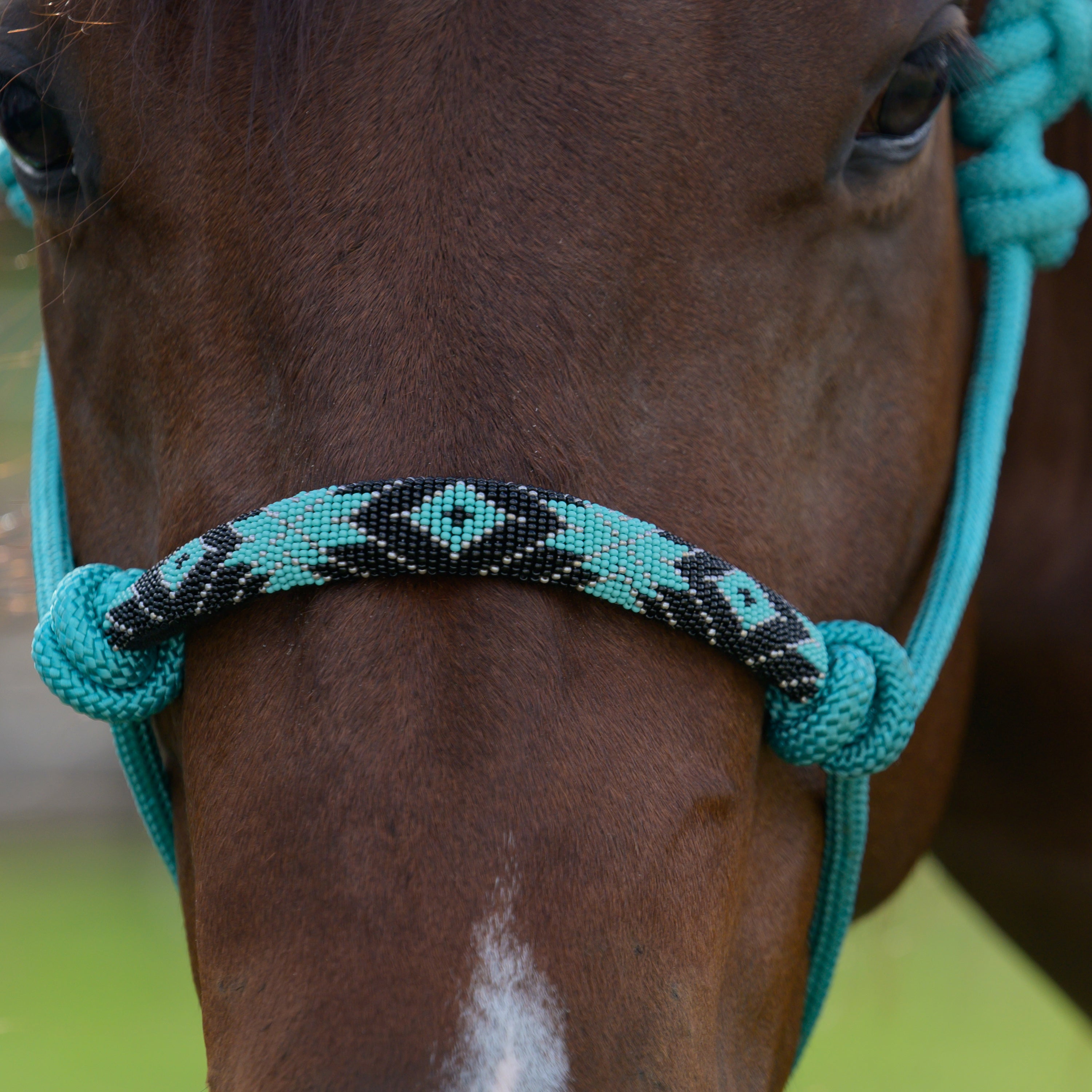 Beaded Rope Halter