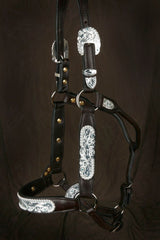Santana Show Halter #205