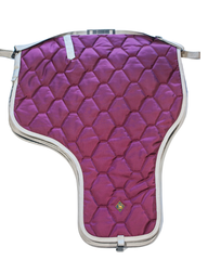 Western Saddle Case