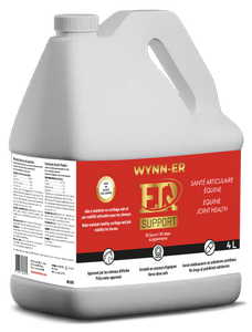 Wynn-ER Support 3.8L