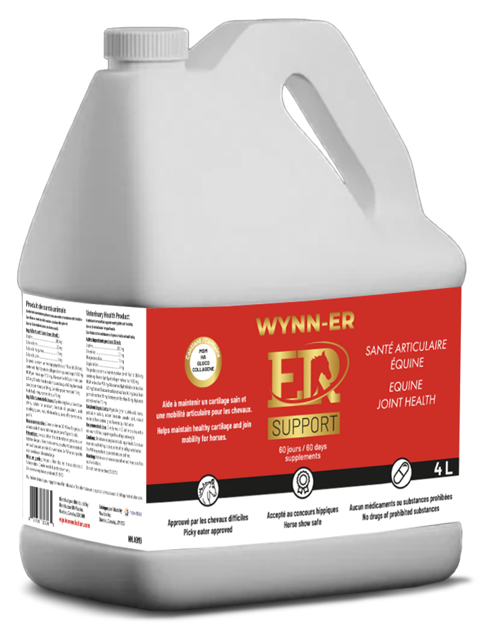 Wynn-ER Support 3.8L