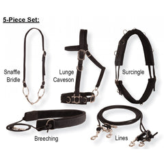 Balance Complete Training System