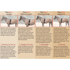 Balance Complete Training System