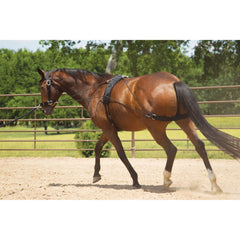 Balance Complete Training System