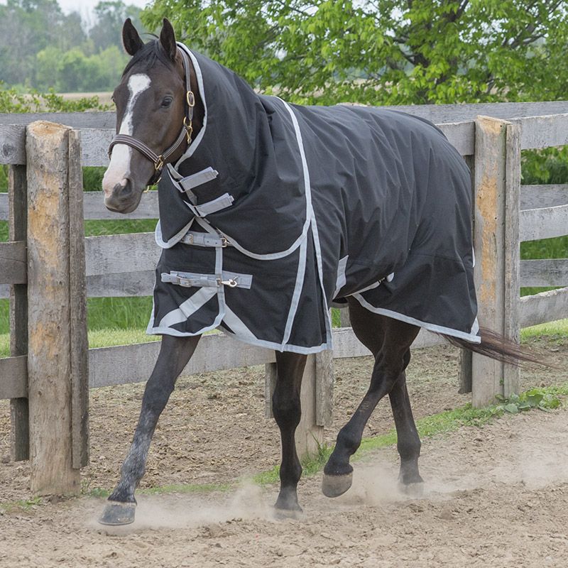 Diablo 160G Winter Blanket with Neck - Black