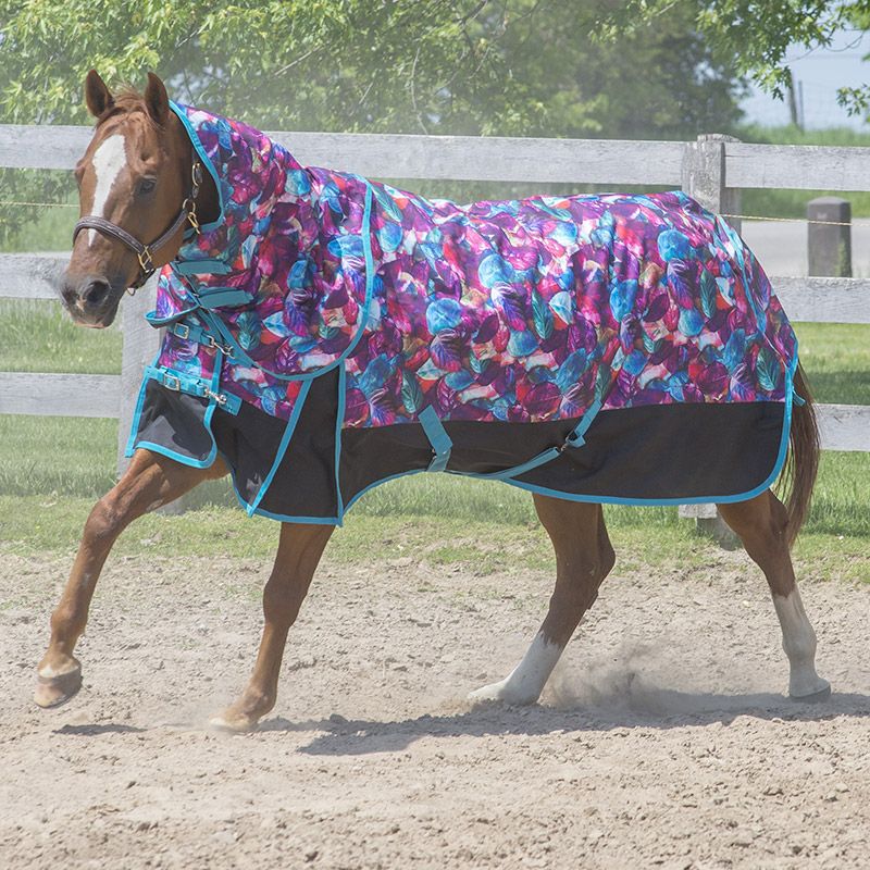 Winter Blanket with Neck Cover 300g - Turquoise Dream