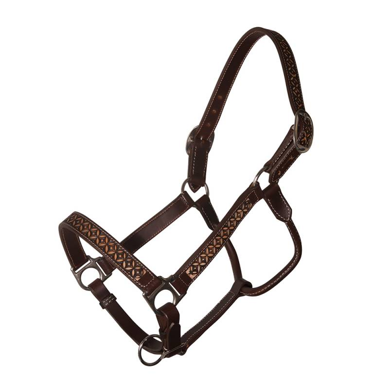Leather Halter Chocolate Confection - Horse