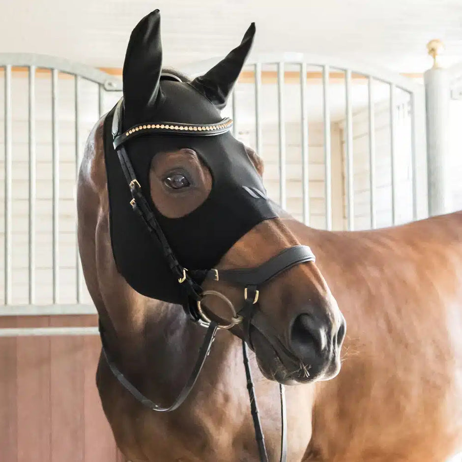 Tapis de selle Back On Track Jumper - Vision Saddlery