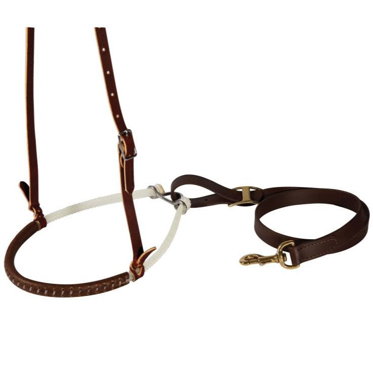 Ensemble Martingale Fixe et Sangle pour Martingale Fixe