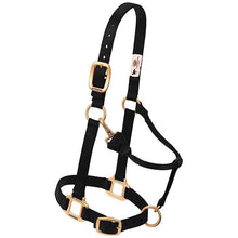 Load image into Gallery viewer, Original Adjustable Halter 3/4&quot; Plain Colors - Weanling
