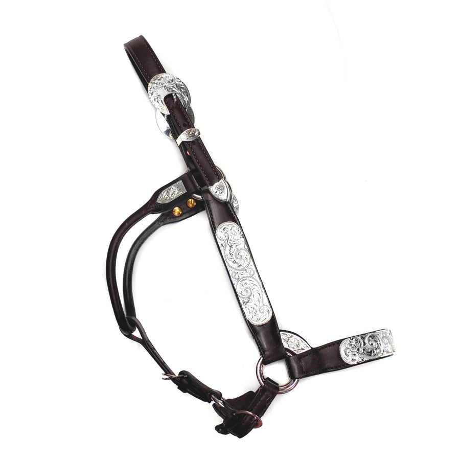 Show Halter Santana