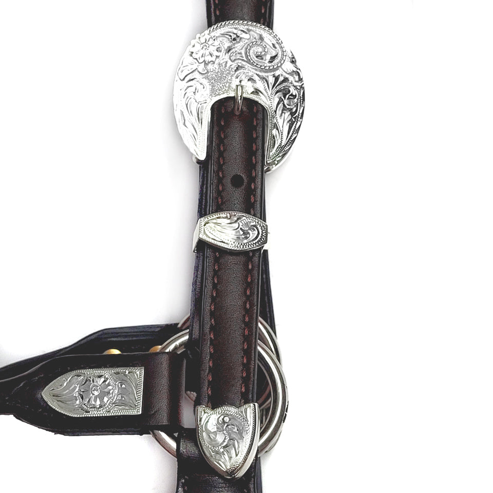 Show Halter Santana