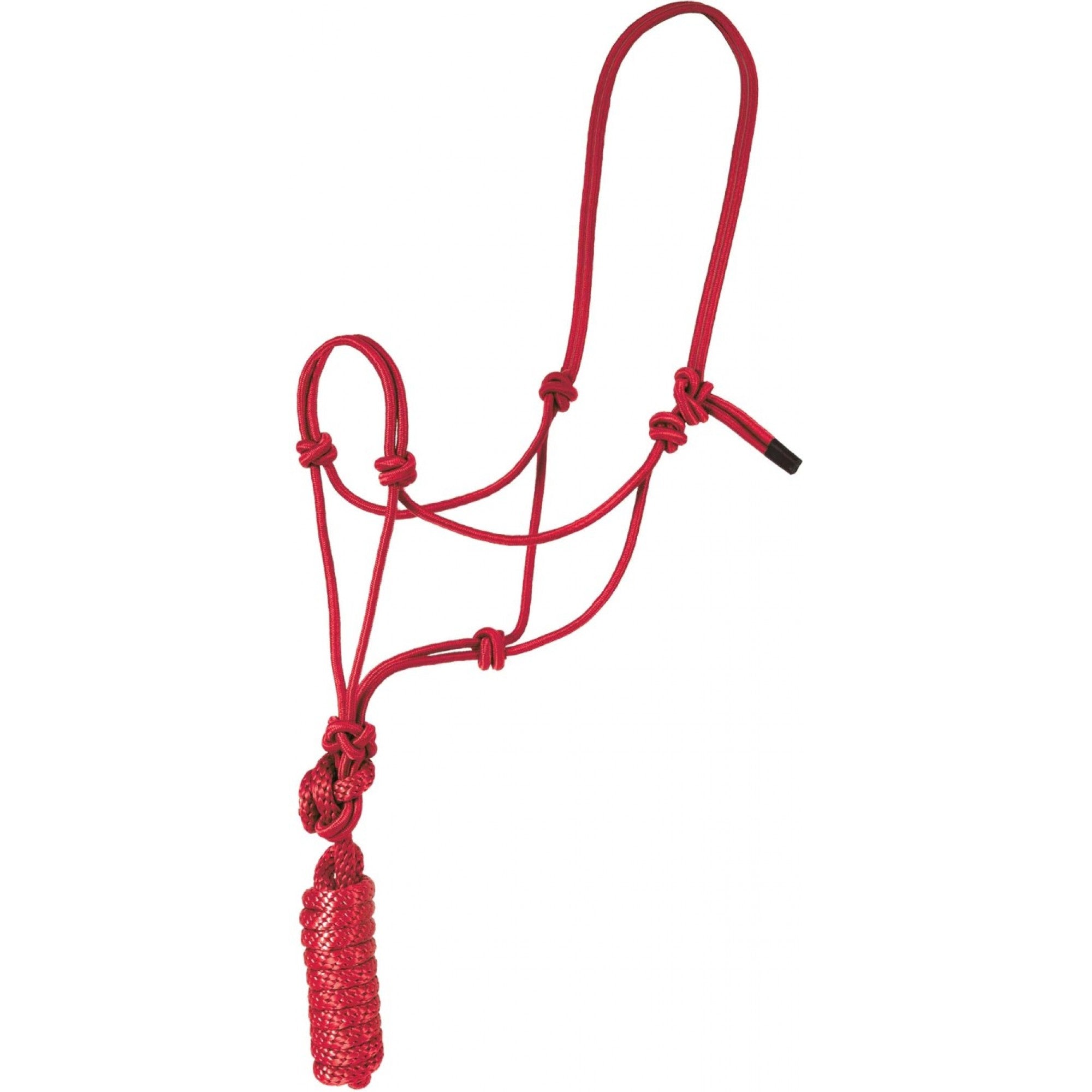 Economy Mountain Rope Halter and Lead
