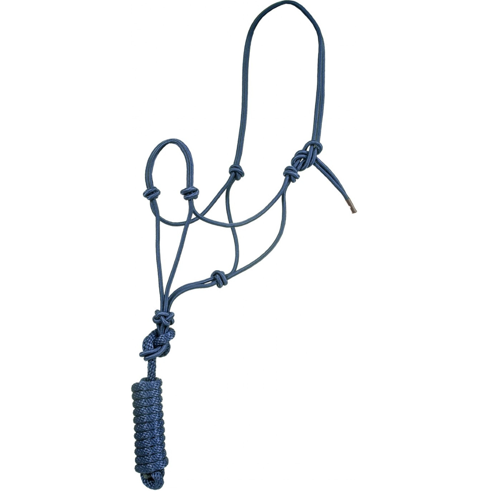 Economy Mountain Rope Halter and Lead