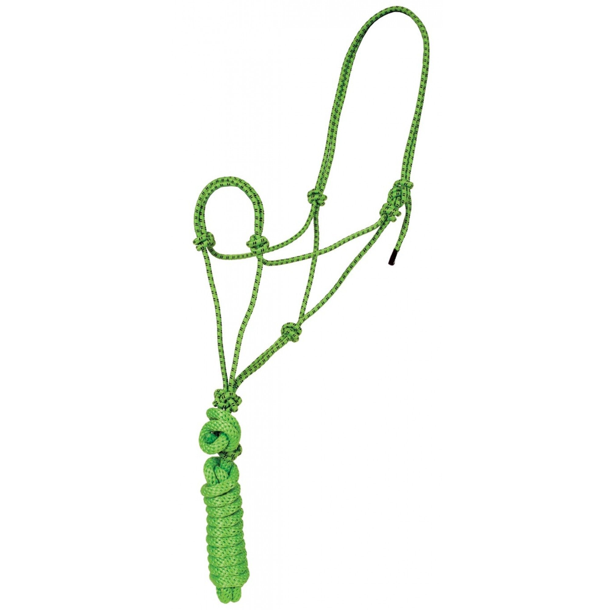 Economy Mountain Rope Halter and Lead