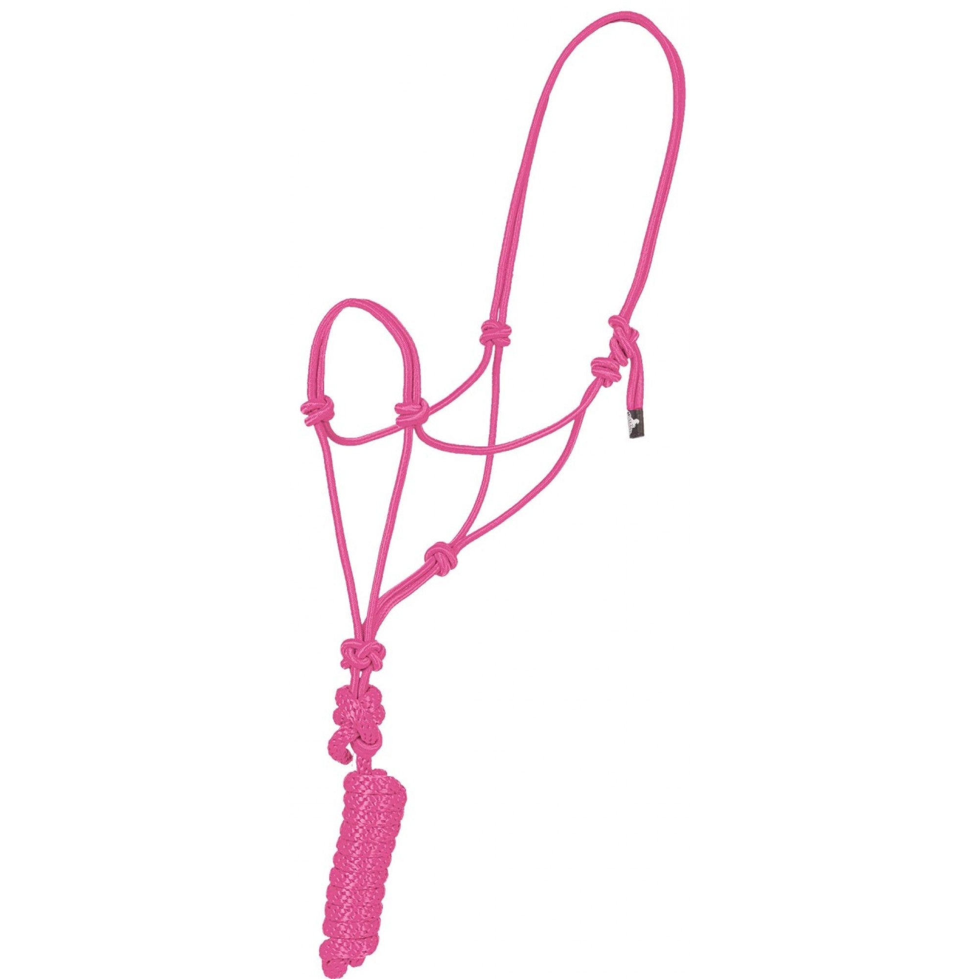 Economy Mountain Rope Halter and Lead